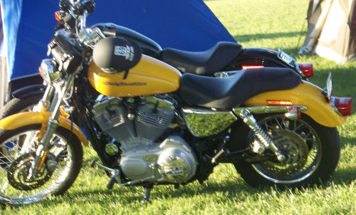 Motorcycle Picture of a 2005 Harley-Davidson Sportster 883