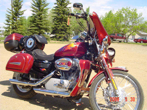 Motorcycle Picture of a 2007 Harley-Davidson Sportster 883