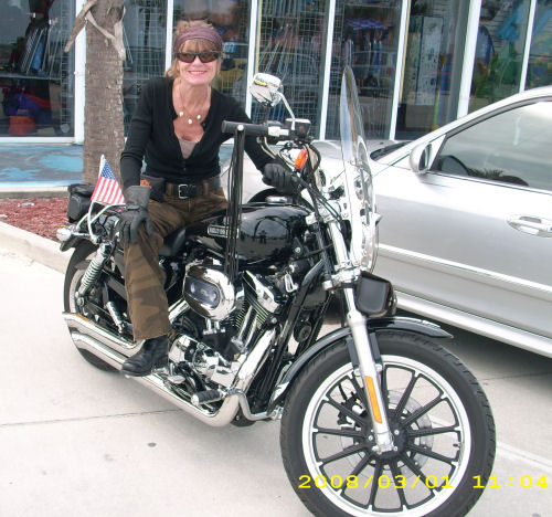 Motorcycle Picture of a 2006 Harley-Davidson Sportster 1200L