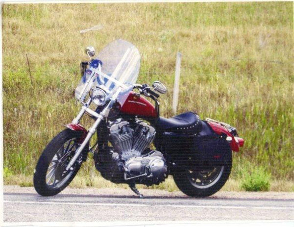 Motorcycle Picture of a 2005 Harley-Davidson Sportster XL883L