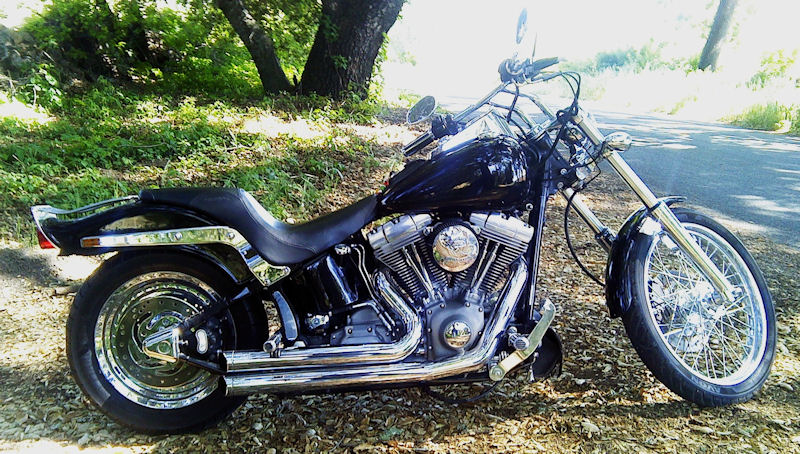Motorcycle Picture of a 2003 Harley-Davidson FXST Custom