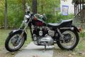 Sportster Picture