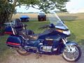 Gold Wing Photo