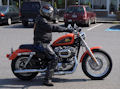 Sportster Picture